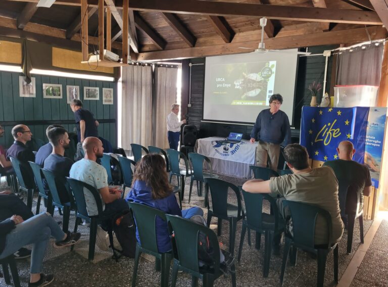 12 maggio